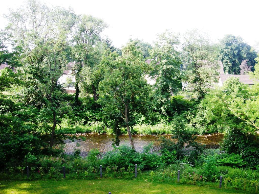 Aux Berges de la Thur Staffelfelden Exterior foto